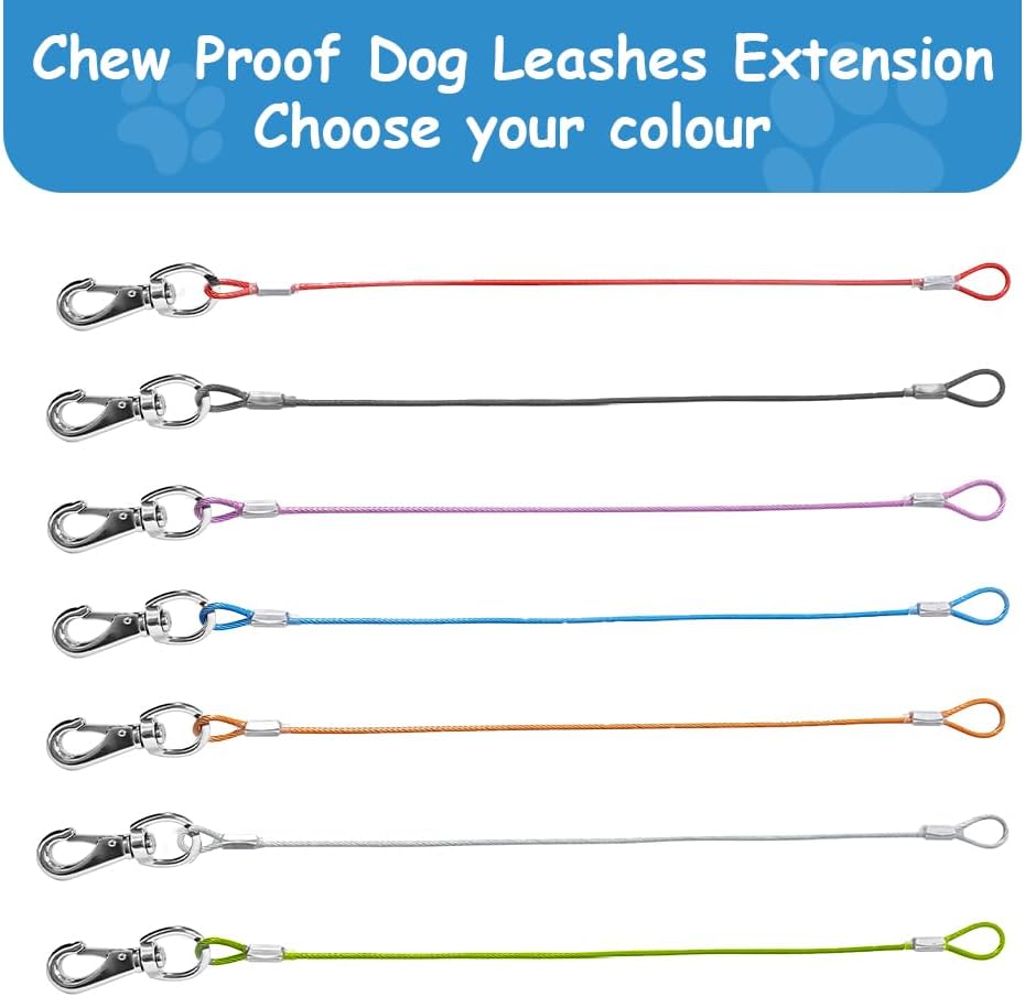 Close up view of the durable non chewable wire rope lead for small and medium dogs.