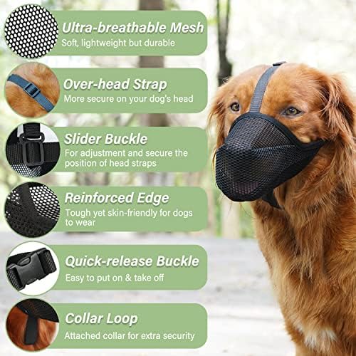 Premium imported dog mouth guard showing adjustable forehead and neck straps