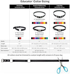 Educator bungee collar strap showing the steel D-ring attachment