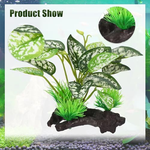 Capastec silk aquarium plants pack of five arranged inside a fish tank