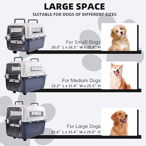 Elevon imported plastic pet kennel designed for large dogs and cats
