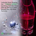 SilverGuard health and wellness supplement packaging angle view