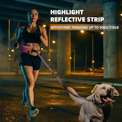 Built in car seatbelt safety clip attached to premium pet leash.