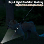 BEAUTYZOO small dog harness size small showing reflective stitching