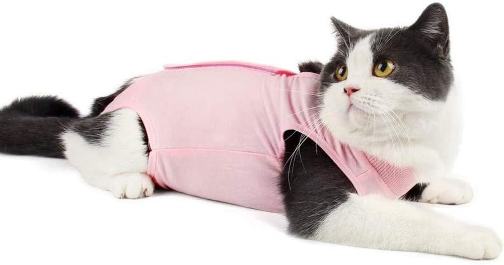 Cat Recovery Suit for Abdominal Wounds or Skin Diseases, Breathable Cat Onesie for Cats After Surgery Spay Neuter, Anti Licking Cat Cone Alternative, Professional Pet Surgery Recovery Shirt - Image 9