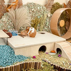 Niteangel hamster maze habitat showing interior chambers and tunnel openings