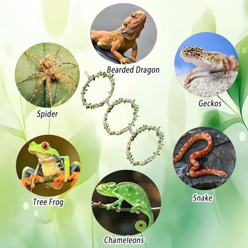 Snake Climbing Rings for Ball Python- Enclosure Accessories - Reptile Habitat Decor, Climbing Branches & Bedding for Ball Python, for Corn Snake Enhancement Ring Toys - Image 7