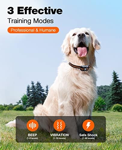 Orange Bousnic dog collar adjustable strap detail