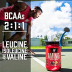 BSN endurance powder container back panel ingredients