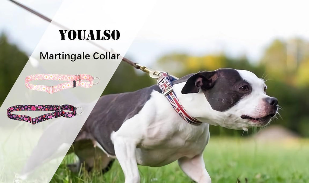 YOUALSO soft nylon dog collar pink daisy medium size dimensions graphic