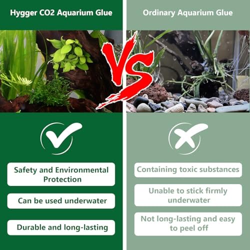 Demonstration of using the non toxic aquarium adhesive to secure moss onto a piece of natural driftwood.