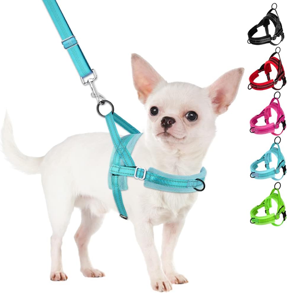 SlowTon No Pull Small Dog Harness and Leash Set, Puppy Soft Vest Harness Neck & Chest Adjustable, Reflective Lightweight Harness & Anti-Twist Pet Lead Combo for Small Medium Dogs (Fuchsia, XXS) - Image 11