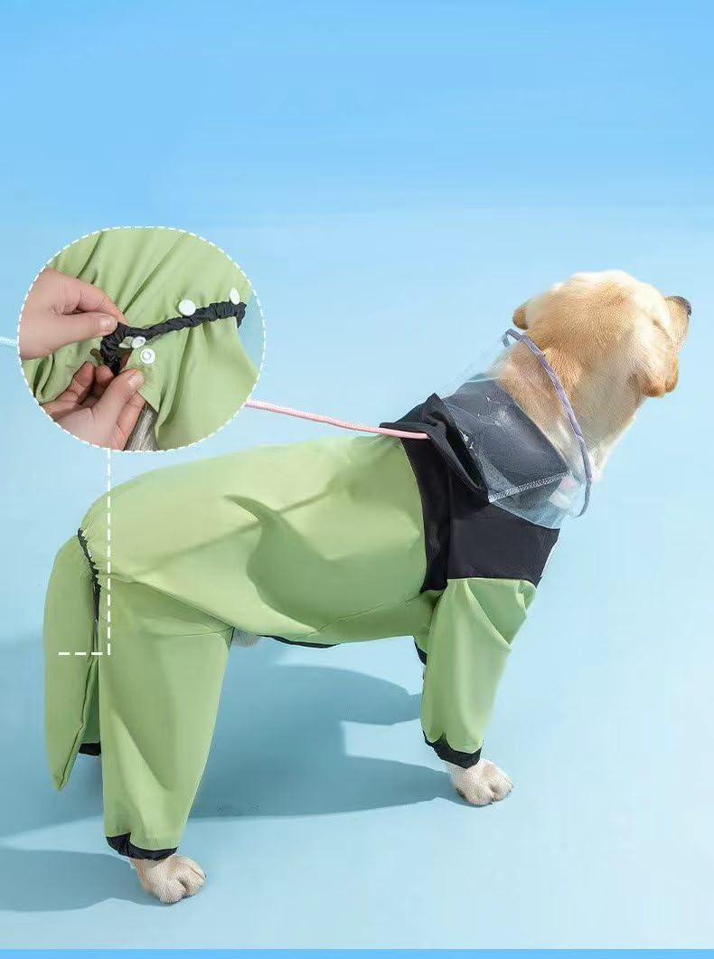 Adjustable dog rain jacket showing leash hole design for medium dogs