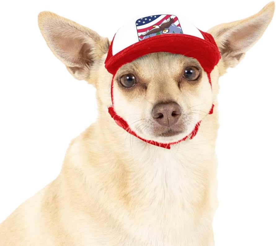 USA Collection, PupLid Trucker Hats for Dogs (Large) Premium Stylish Sun Protection for The Modern Dog - Adjustable for Secure Comfortable Fit on Active Dogs (Blue, Eagle) - Image 14