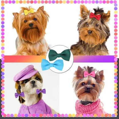 Variety of pastel color hair bows for cats and puppies