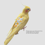 Qbleev pack of 6 bird diapers packaging