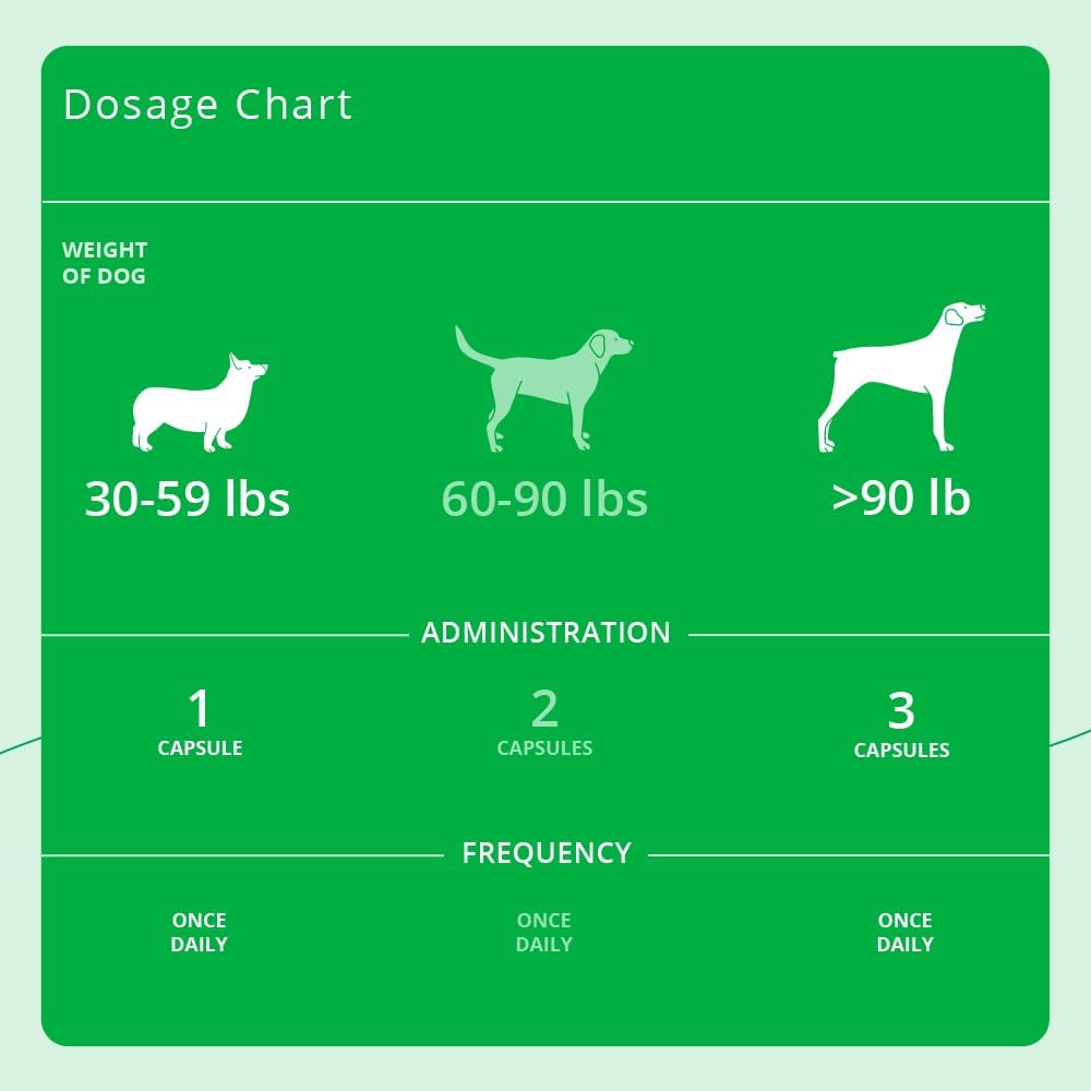 Dechra pet skin and coat health veterinary supplement label detailing EPA and DHA levels