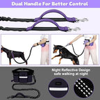 ETACCU purple hands free leash attached to a medium sized dog