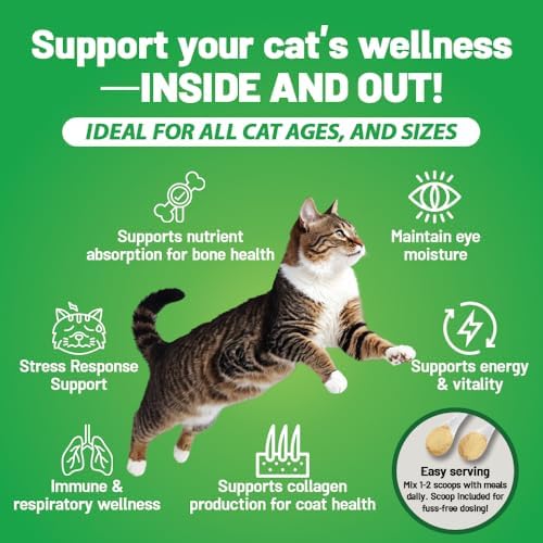 Close up of iPaw L-Lysine powder granules for feline respiratory support