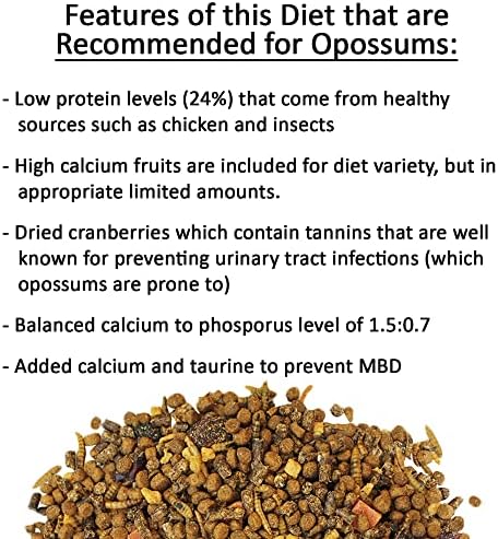 Close up look of the healthy pellet diet kibble containing dried insects and whole fruits.