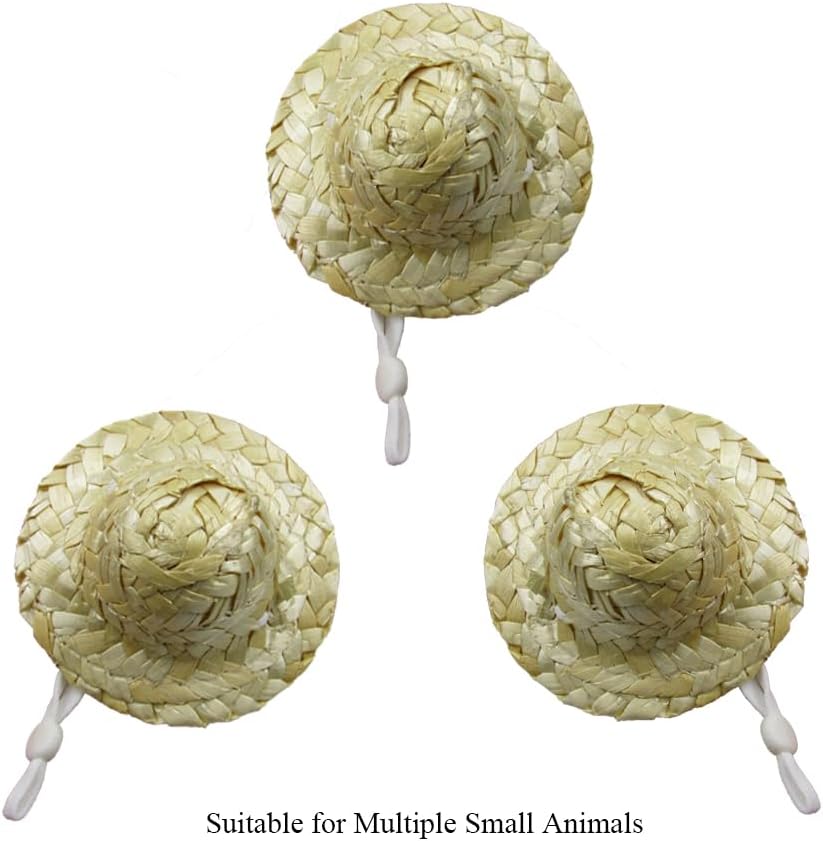 Natural straw miniature top hats for real chickens side view