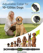 HapTop premium imported dog behavior correction system complete box kit layout