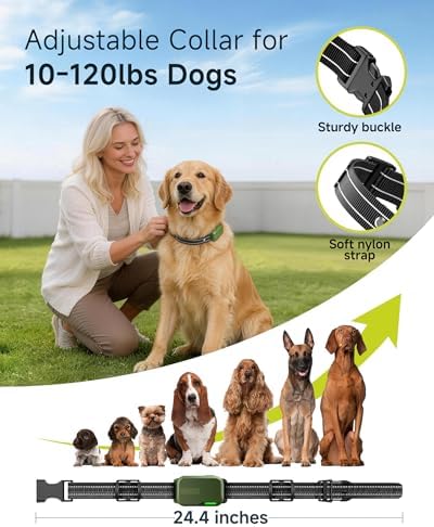 HapTop premium imported dog behavior correction system complete box kit layout