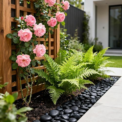 Textured black pebbles showing smooth surface and glossy finish