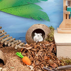 Natural coconut shell hideout showing stable pedestal base