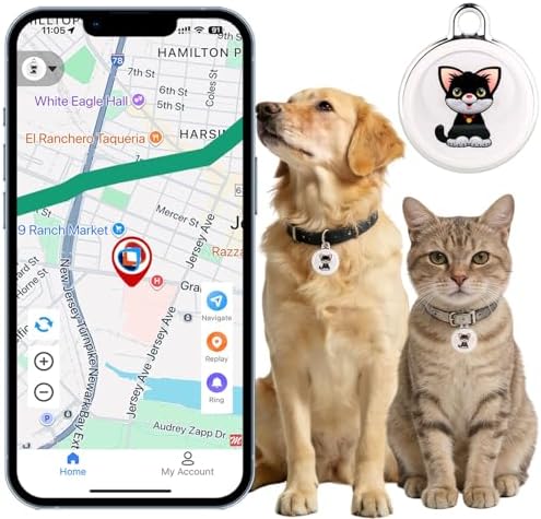 NGXDFL waterproof pet locator attached to a small dog collar