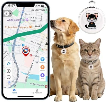 NGXDFL waterproof pet locator attached to a small dog collar