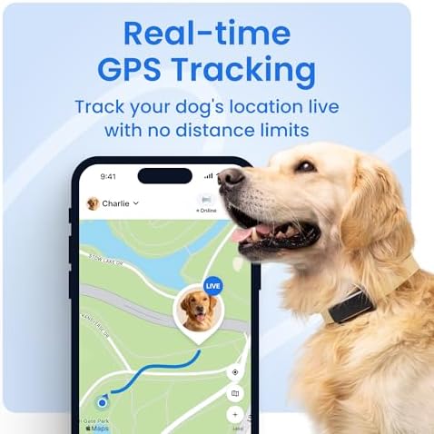 Tractive app interface showing real-time pet location