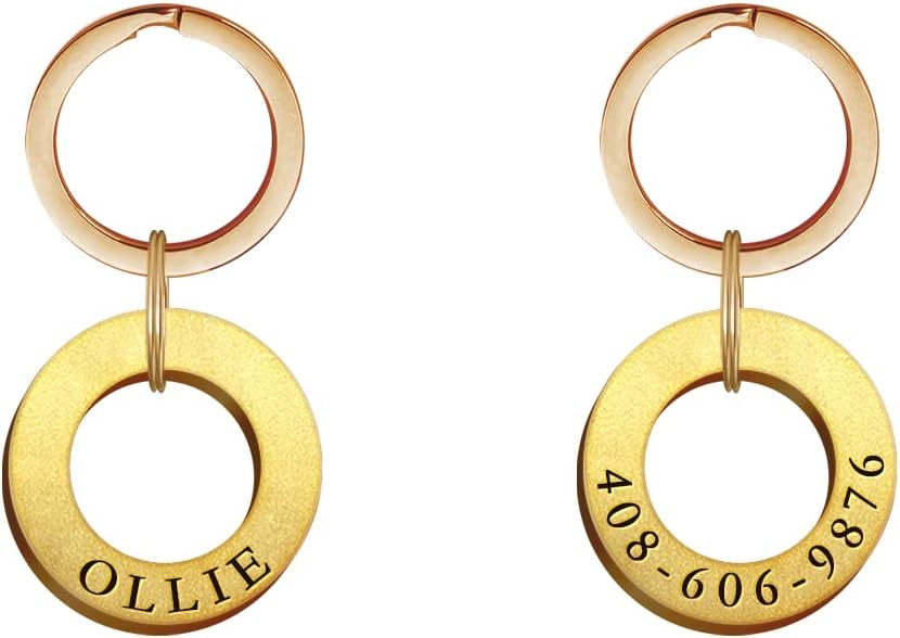 Dogs Tag Stylish Personalized Double Sided Deep Engraved Cat & Dog Tags Engraved for Pets Bone Balloon Shape Brass - Image 14
