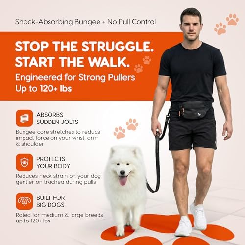 Q Leash utility waist pack with zipper storage compartments for keys and smartphone.