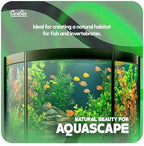 Carib Sea Moonlight Sand inside freshwater planted aquarium