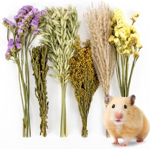 Sukh 42Pcs Herb Bedding Habitat Decor - Natural Flower Hamster Mate Herbs Sprays Cage Safe Pet Accessories Decorations Hideout for Hamsters Mouse Guinea Pig Dwarf Gerbils Syrian Mice - Image 2