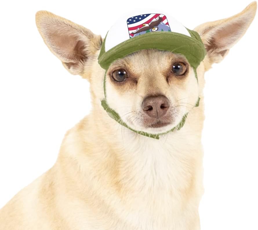 Back view of PupLid USA collection dog hat