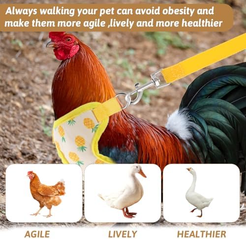 Prasacco poultry training set including two colorful elastic vests and two matching 125 centimeter matching leashes