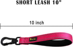 Plutus Pet heavy duty traffic leash pink color showing the 360 degree swivel clip.