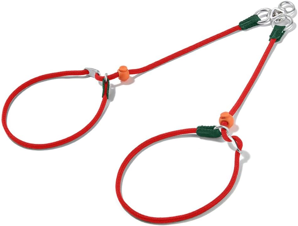Howgo Double Slip Leash Slip Lead with Two Handles| Dual Dog Slip Lead for 2 Dogs,360 degrees Swivel No Tangle | Dog Training Collar | Double Clip Leash Coupler and Splitter (Multicolor, 6FT) - Image 9