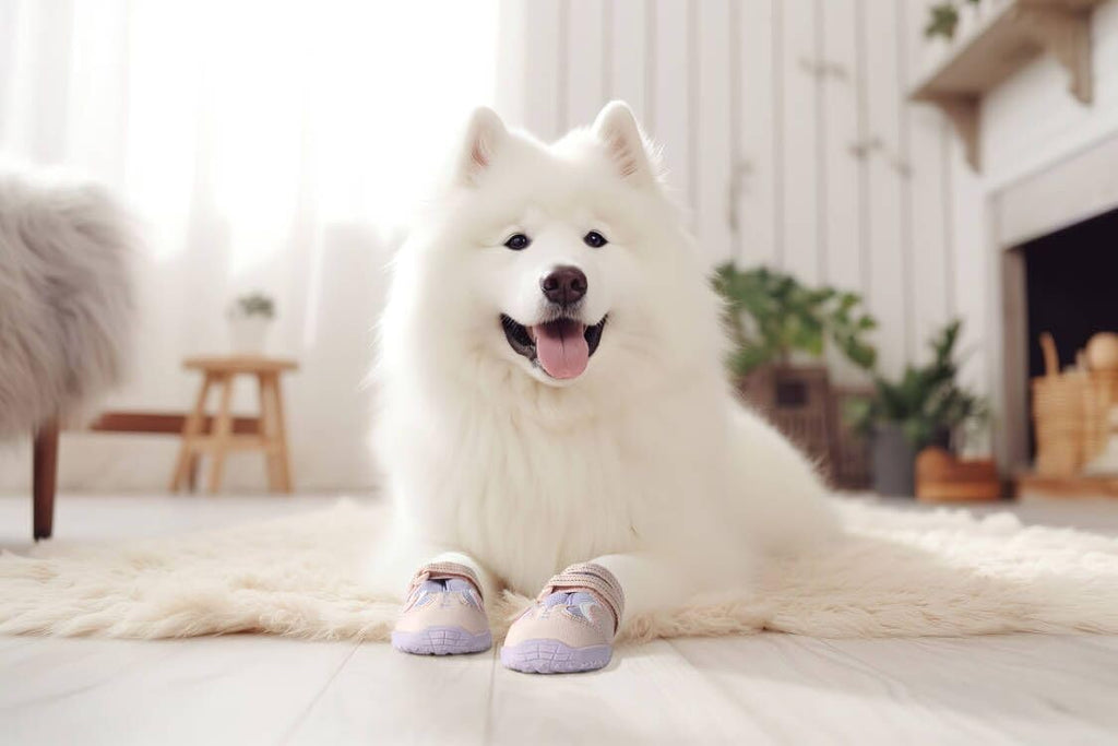 Side profile of dog wearing waterproof outdoor pet boots