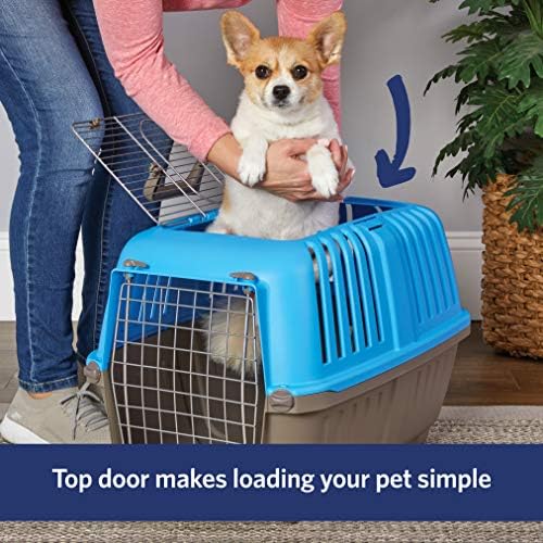 Blue hard sided small animal travel kennel with steel wire door