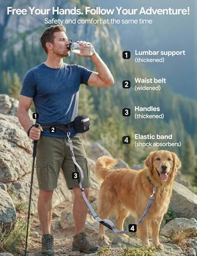 Close up view of the durable dual handles on the Pecute dog leash