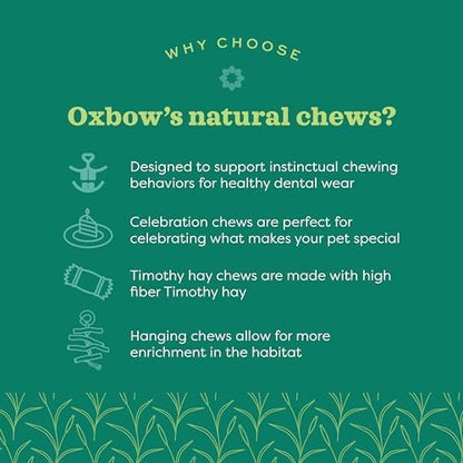 Oxbow Timothy Hay Hide & Seek Mat, Small - Rabbit & Guinea Pig Toys for Chewing & Relaxation, Enrichment for Bunny, Hamster, Chinchilla, Rat, Timothy Hay Small Animal Cage Accessories - Image 5