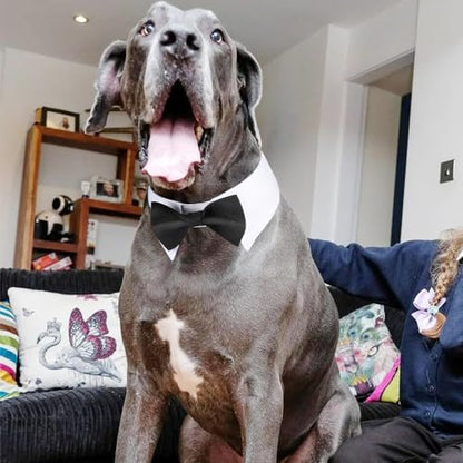 Adjustable Segarty dog bowtie collar for festive holidays