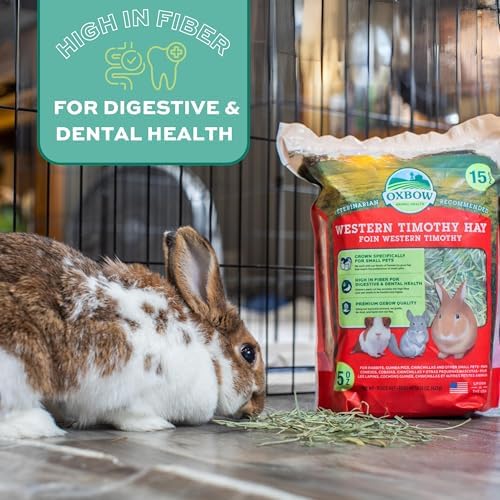 Oxbow Western Timothy Hay displayed clearly demonstrating clean hand sorted pet nutrition standards.