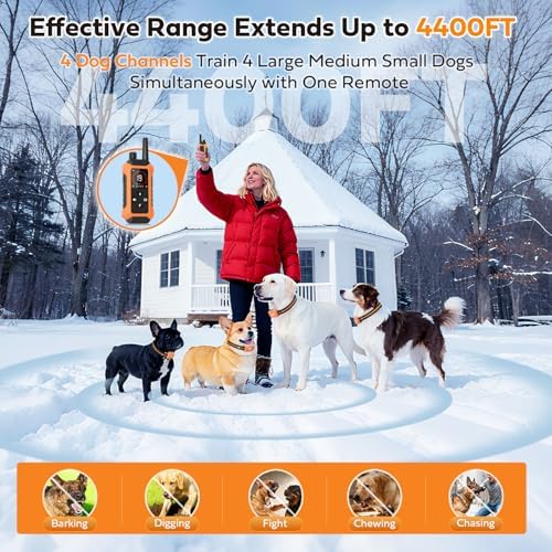HRRVEE double dog training kit with waterproof receiver under water splash test
