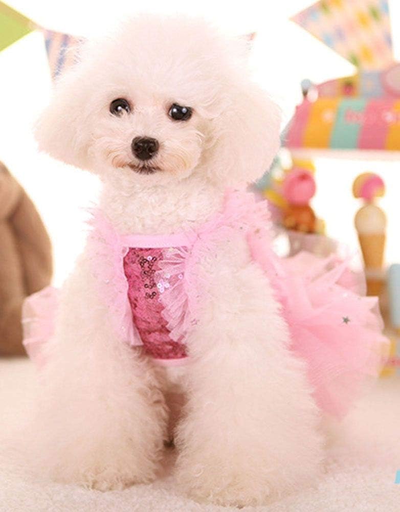 Elegant sweet fashion puppy dress for small female dogs