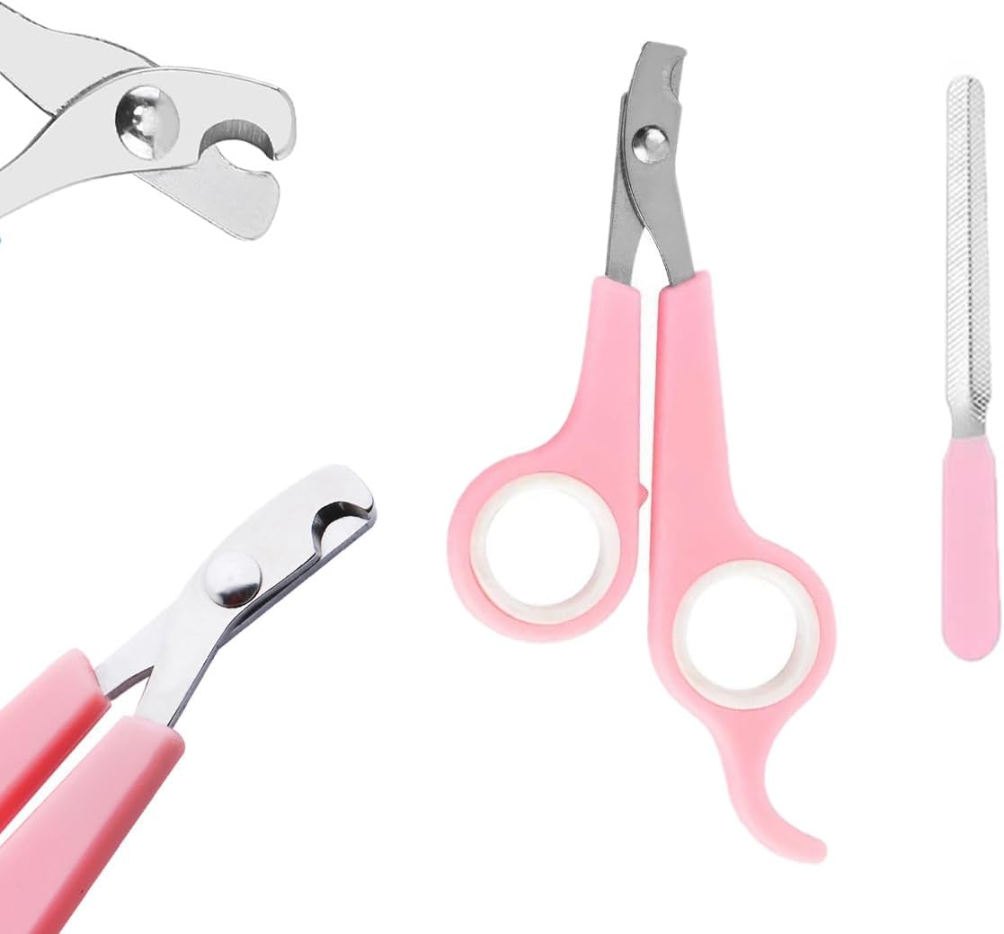 Silicone finger toothbrush for domestic pet dental care.