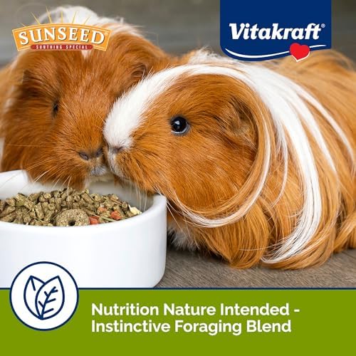 Sunseed Vita Prima Guinea Pig Food pellet texture close up